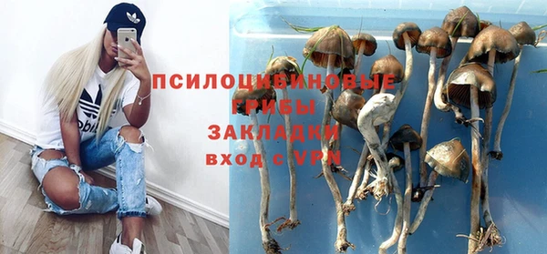 соль ск Касимов