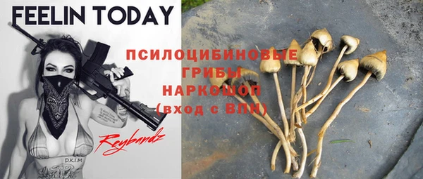 соль ск Касимов