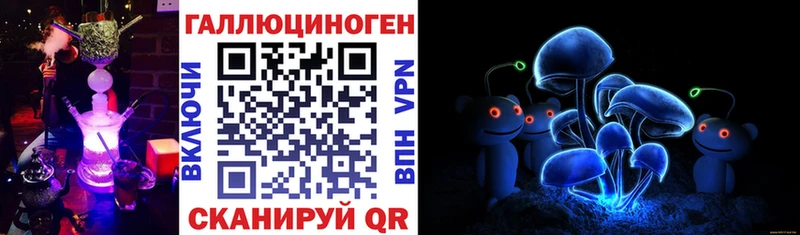 Купить где  Туапсе  Псилоцибиновые грибы MAGIC MUSHROOMS 